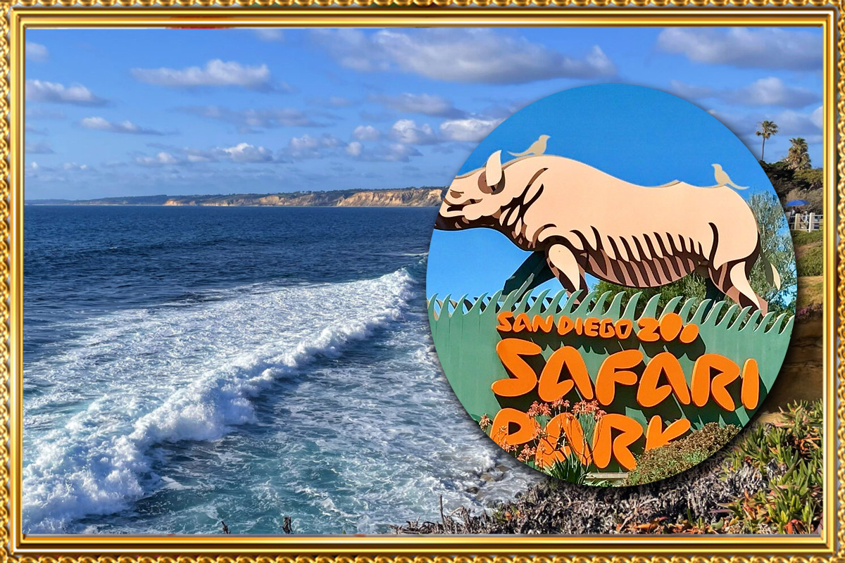 https://travel.wowrelax.in/What Makes the San Diego Zoo in January a Unique Experience?