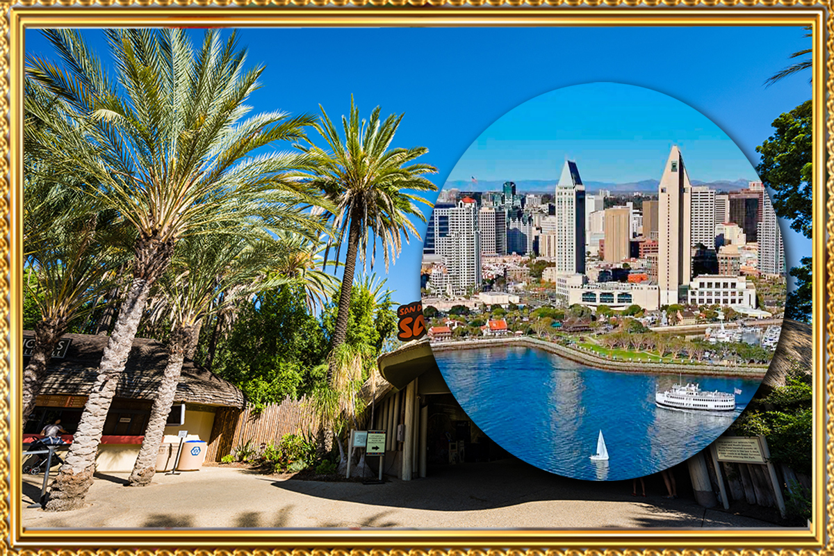 https://travel.wowrelax.in/What Makes the San Diego Zoo in January a Unique Experience?